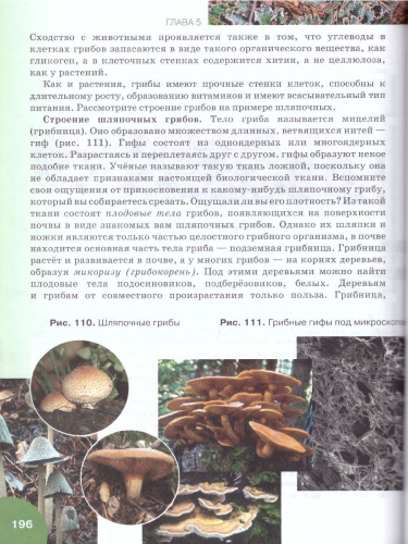 Биология 6 класс. Учебник. ФГОС