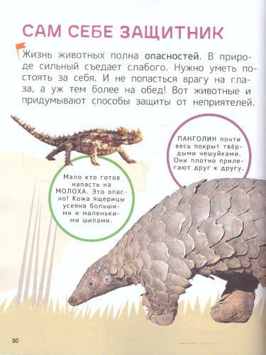 Животные. Энциклопедия для первого чтения с крупными буквами, изд.: Росмэн, авт.: Гальцева С. Н., Кл