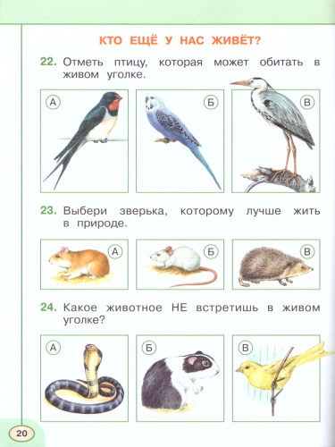 Окружающий мир 1 класс. Тесты. ФГОС. УМК "Школа России"