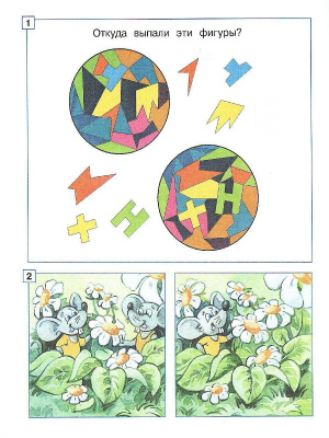 55589665-3