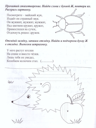 Логопедические прописи. Ж, Ш: учим звуки и буквы. Для детей 4-6 лет