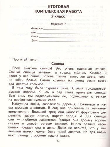 Русский язык Математика 2 класс. Итоговые проверочные работы. ФГОС