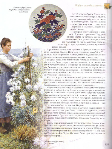 Мифы и легенды о цветах