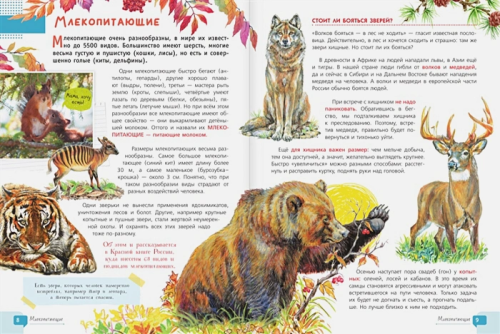 Красная книга для детей /Красная книга нашей планеты