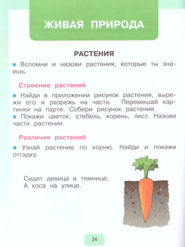 Мир природы и человека 1 класс. Рабочая тетрадь (для обучающихся с интеллектуальными нарушениями)