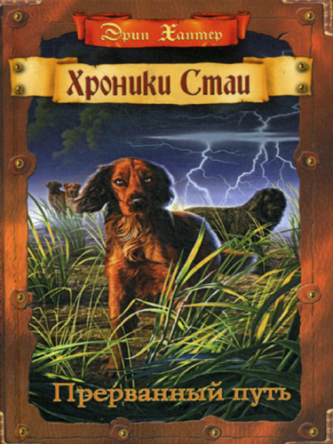 Прерванный путь