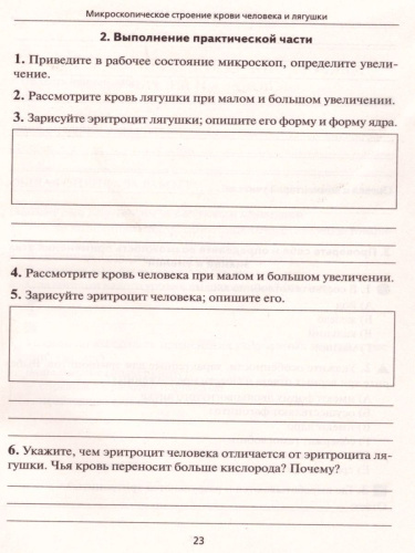 Биология. Лабораторный практикум для основной школы. Раздел Человек