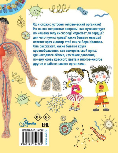 Как устроен человек?