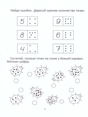 55604184-3