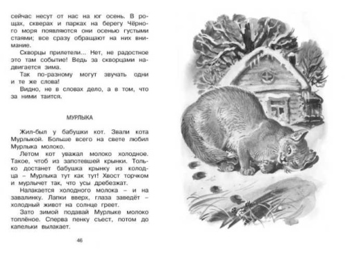 Лесные тайнички. Чтение - лучшее учение