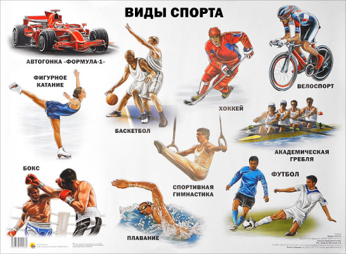 Плакат. Виды спорта