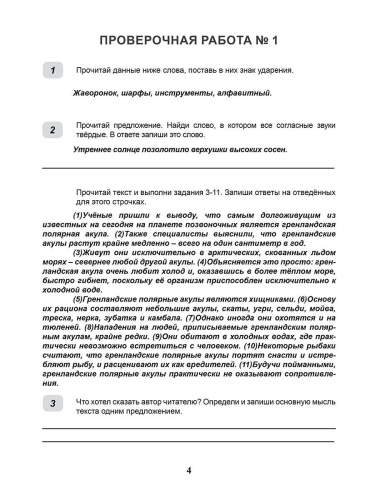 ВПР Русский язык 4 класс. 20 типовых работ
