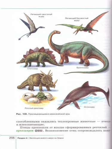Биология 9 класс. Учебник (концентрический курс)