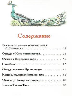 55623841-4