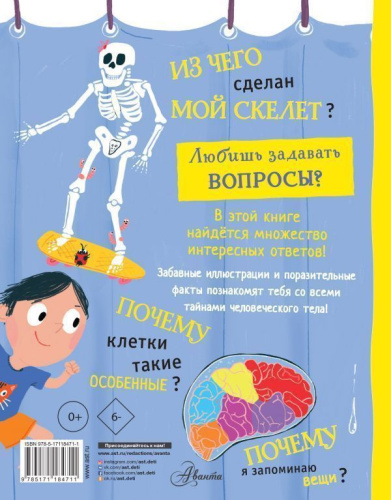 Тело человека