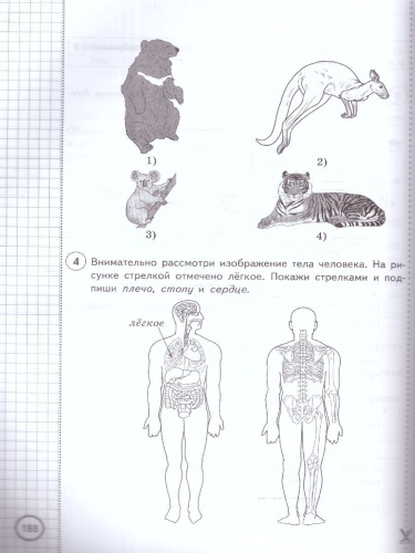 ВПР Окружающий мир 4 класс. Типовые задания. 25 вариантов. ФИОКО СТАТГРАД. ФГОС. С новыми картами