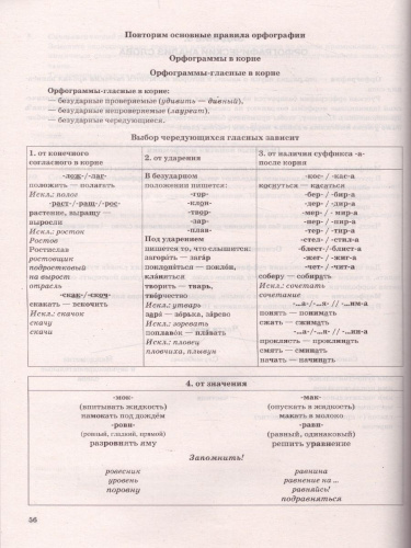 ОГЭ 2022 Русский язык ОГЭ НА ОТЛИЧНО