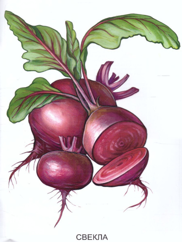 Раскраска "Овощи"