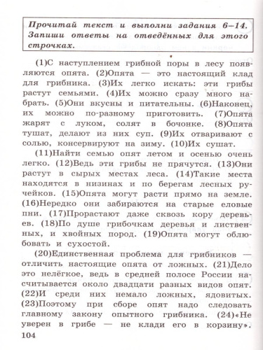 ВПР Русский язык 4 класс. 15 вариантов. Типовые задания. ФГОС