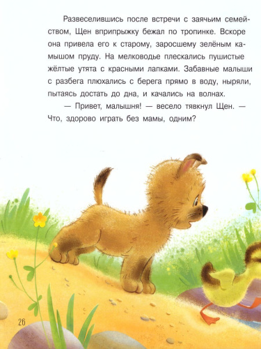 Что случилось во дворе? Сказки