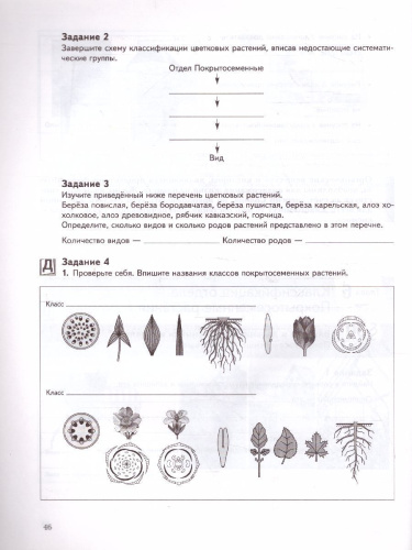 Биология 6 класс. Рабочая тетрадь №2. ФГОС