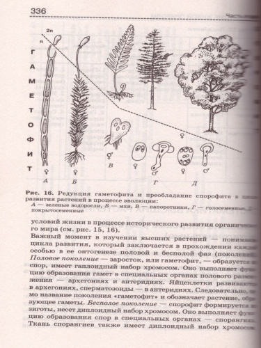 Биология. Справочник для школьников и поступающих в вузы. Курс подготовки к ГИА, ЕГЭ и дополнительным вступительным испытаниям в вузы