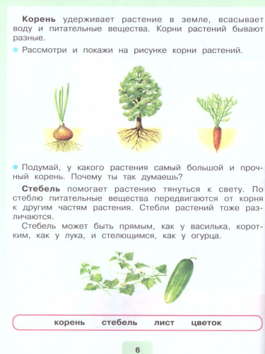 Мир природы и человека 2 класс. Учебник в 2-х частях. Часть 2 (для обучающихся с интеллектуальными нарушениями)