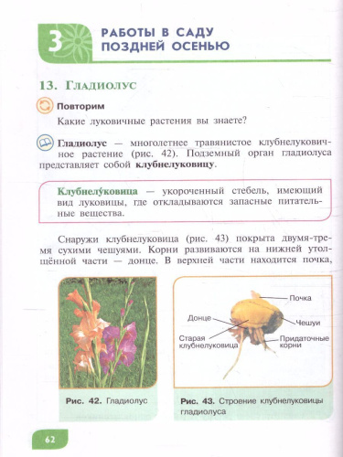Технология Цветоводство и декоративное садоводство 8 класс. Учебник (для обучающихся с интеллектуальными нарушениями)