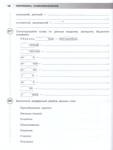 ВПР Русский язык 7 класс. Рабочая тетрадь