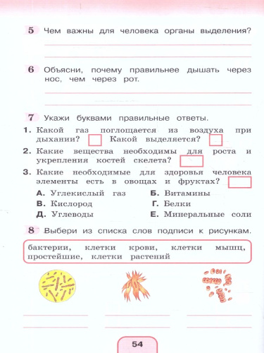 Окружающий мир 3 класс. Рабочая тетрадь в 2-х частях. Комплект. ФГОС