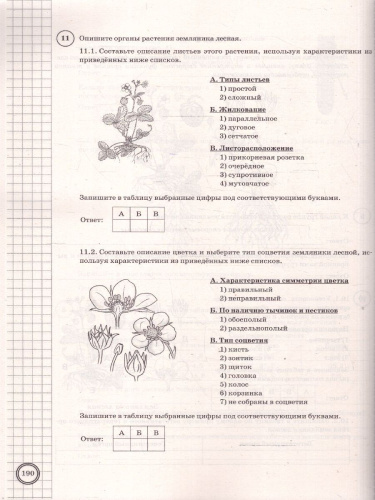 ВПР Биология 6 класс. Типовые задания. 25 вариантов. ФИОКО СТАТГРАД. ФГОС Новый