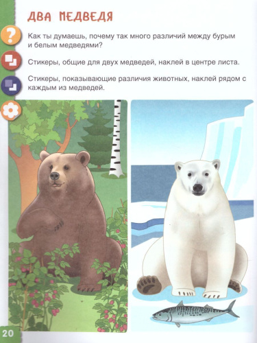 Ребёнок и Окружающий мир 5-6 лет. Удивительное рядом. Альбом наблюдений