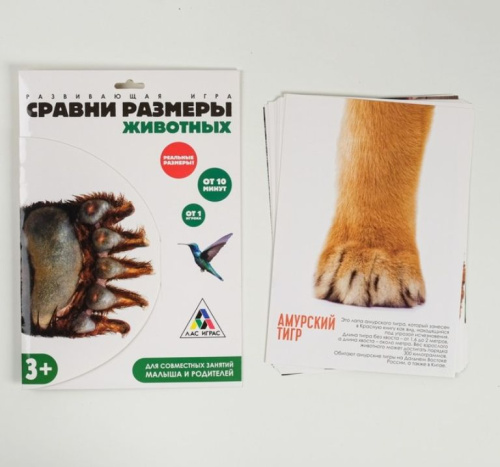 Игра развивающая Сравни размеры животных
