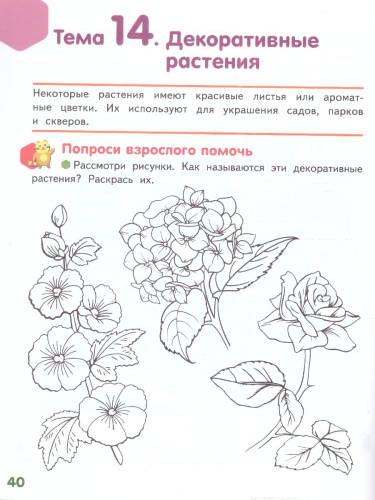 Знакомлюсь с растениями: развивающая тетрадь для детей подготов.группы ДОО (1-е полугодие). 6—7 лет