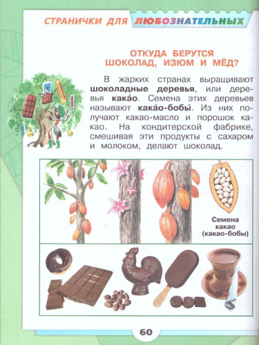 Окружающий мир. Первый год обучения. Часть 3. УМК "Школа России" (Эффективная начальная школа)
