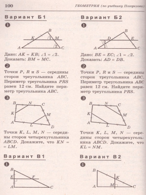 55560084-3