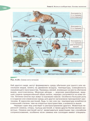 Общая Биология 11 класс. Углубленный уровень. Учебник. Вертикаль. ФГОС
