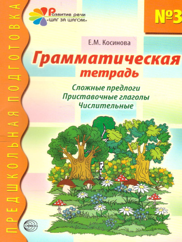 Грамматическая тетрадь №3. Предшкольная подготовка. Сложные предлоги
