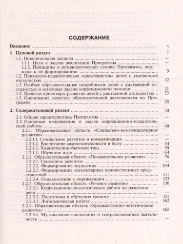 Примерная адаптированная основная образовательная программа дошкольного образования детей с интеллектуальными нарушениями с методическими рекомендациями