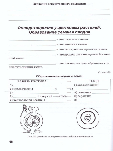 Биология 5 класс. Рабочая тетрадь. Растения. Бактерии. Грибы. Лишайники. К учебнику Трайтака