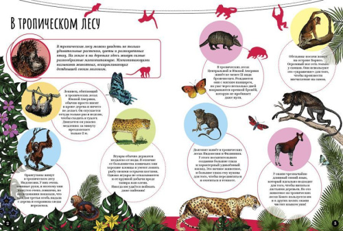Млекопитающие Удивительный мир животных