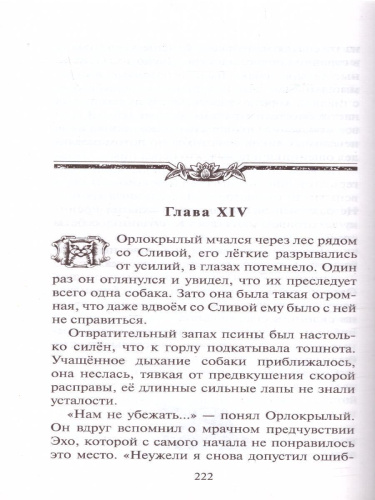 Коты-воители. Цикл "Путешествия Орлокрылого". Скитания