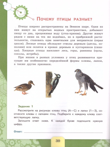 Естественнонаучная грамотность.Сборник эталонных заданий. Для учащихся 10-13 лет. Выпуск 1
