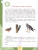 Естественнонаучная грамотность.Сборник эталонных заданий. Для учащихся 10-13 лет. Выпуск 1