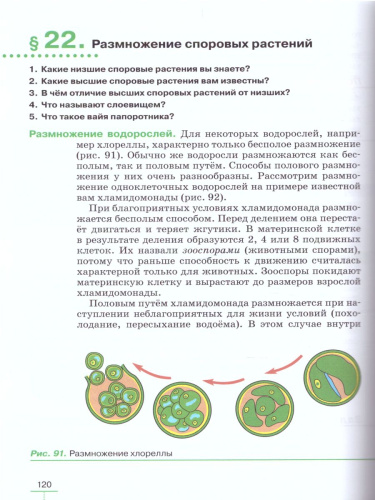 Биология 6 класс. Многообразие покрытосеменных растений. Учебник. Вертикаль. ФГОС