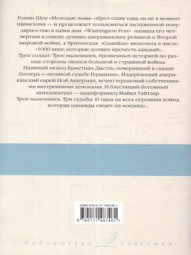 Молодые львы