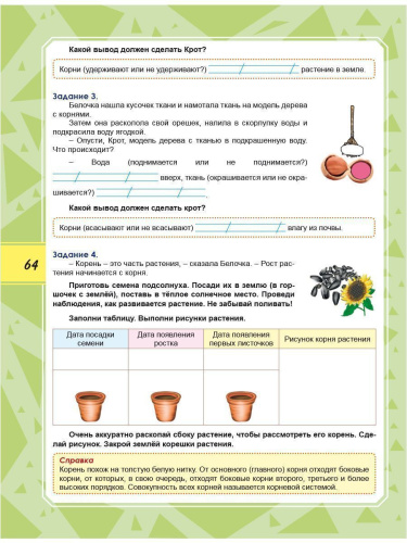 Функциональная грамотность 2 класс. Тренажер для школьников