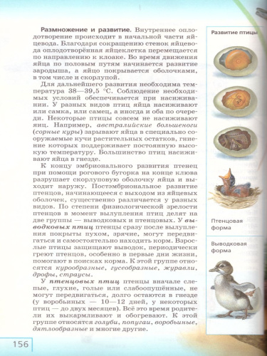 Биология 8 класс.. Учебник. Вертикаль. ФГОС