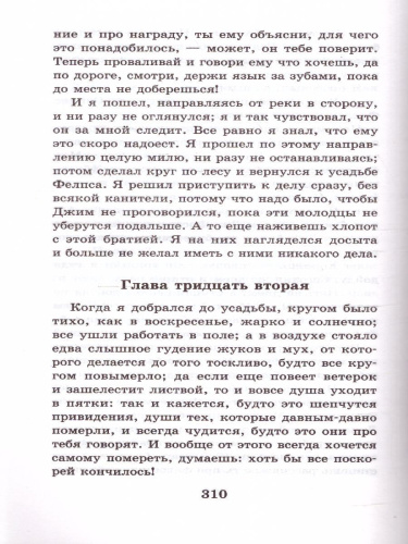 Приключения Гекльберри Финна