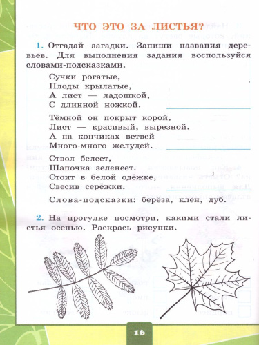 Окружающий мир 1 класс. Тетрадь для практических работ с дневником наблюдений. Часть 1. ФГОС НОВЫЙ